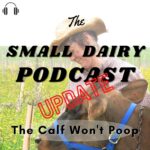 The Small Dairy Podcast The Small Dairy Podcast